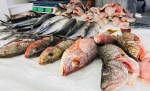 Caen ventas de pescado en Puebla pese a temporada alta; desconfianza y clima impactan al sector