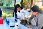 Tlaxcala refuerza protección familiar con gran jornada gratuita para mascotas en mayo