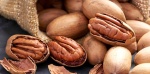 Foto: Cortesía Nuez pecana mexicana ante nuevos aranceles de China