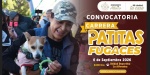 Foto: Cortesía Personas corriendo con sus mascotas en una carrera