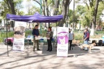 Foto: CortesÃa Perro durante una jornada de vacunación en Tlaxcala.