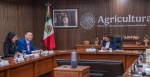 Autoridades de México y China durante una reunión de trabajo.