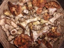 Foto: Especial Teolocholco listo para revalorizar los hongos silvestres y la gastronomía náhuatl