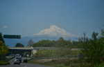 Carretera Córdoba-Veracruz donde fueron localizados los restos de Zarahí Chávez.