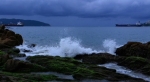 Foto: Cortesía Atún rojo del Pacífico capturado por pescadores.