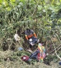 Tonantzin Fernández refuerza, con el Organismo Operador del Servicio de Limpia, atención en la Gran Pirámide
