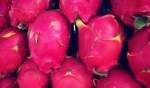 Foto: Cortesía