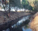 Colectivos de Tlaxcala y Puebla durante un encuentro socioambiental