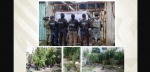 Foto: Cortesía Plantas de marihuana aseguradas durante un cateo en Puebla.