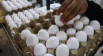 Foto: Cortesía Huevos en un supermercado de México con precios exhibidos.