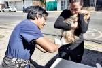Personal de salud animal durante una jornada de atención para perros y gatos en Tlaxcala.