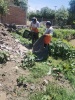 Comunicado oficial Gobierno de San Pedro Cholula mantiene labores permanentes de limpieza en el vaso regulador de Santiago Mixquitla