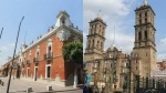 Se expande la vigilancia ciudadana por el bienestar animal: Puebla estrena su propio Observatorio
