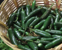 Foto: Cortesía Chiles jalapeños mexicanos relacionados con alerta sanitaria por salmonela.