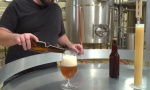 Exportaciones de cerveza mexicana superan 6,400 mdd y van a 98 países