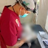 Por: Lula Pineda Cuautlancingo acerca jornadas gratuitas de esterilización para perros y gatos