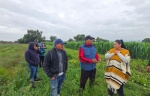Proyectar al campo como fortaleza estratégica de México, afirma Ana Lilia Rivera
