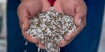 Productores agrícolas reciben fertilizantes gratuitos del programa federal.