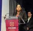 Foto: Propia