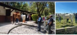 Dos caballos resguardados por autoridades en Puebla.