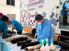 Personas registrando a sus mascotas en jornada de esterilización en Tlaxcala.