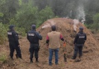Foto: Cortesía Desmantelan horno clandestino y frenan tala ilegal en el Parque Nacional La Malinche