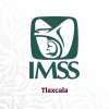 Foto: IMSS