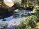 Foto: Cortesía Trabajadores y voluntarios limpian el río Atoyac.