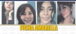 Ficha de búsqueda de Karla Alejandra Tela Flores