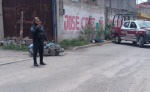 Foto: Cortesía