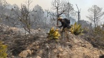 Foto: Cortesía Serpiente silvestre en un entorno natural de Tlaxcala