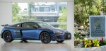 Foto: Cortesía Vivero de plantas nativas en el Jardín Botánico de Acapulco con apoyo de Audi México