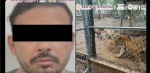 Operativo de seguridad en inmueble de Nuevo León