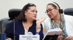 Claudia Espino, secretaria ejecutiva del INE.
