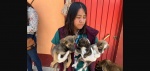 Foto: Cortesía Perros rescatados en Puebla