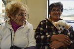 Diputada propone permiso laboral por muerte de mascota.