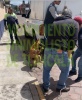 Movimiento Animalista demanda transparentar operativo y frenar posible sacrificio de perros en Panotla