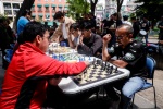 Ajedrez toma el Zócalo