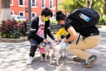 Impulsan capacitación gratuita para la detección del gusano barrenador en Tlaxcala 