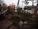 Fuerte lluvia provoca inundaciones y caída de árbol en Puebla capital