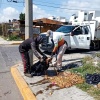 San Pedro Cholula advierte multas por tirar residuos cárnicos en la vía pública