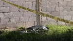 Muere joven en Guadalupe Hidalgo