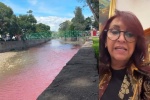 "No vamos a permitir que nadie atente contra el medio ambiente": Lorena Cuéllar